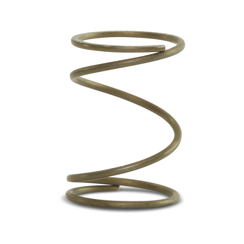 Check Valve Spring-Pump Parts-AccuStream-AccuStream